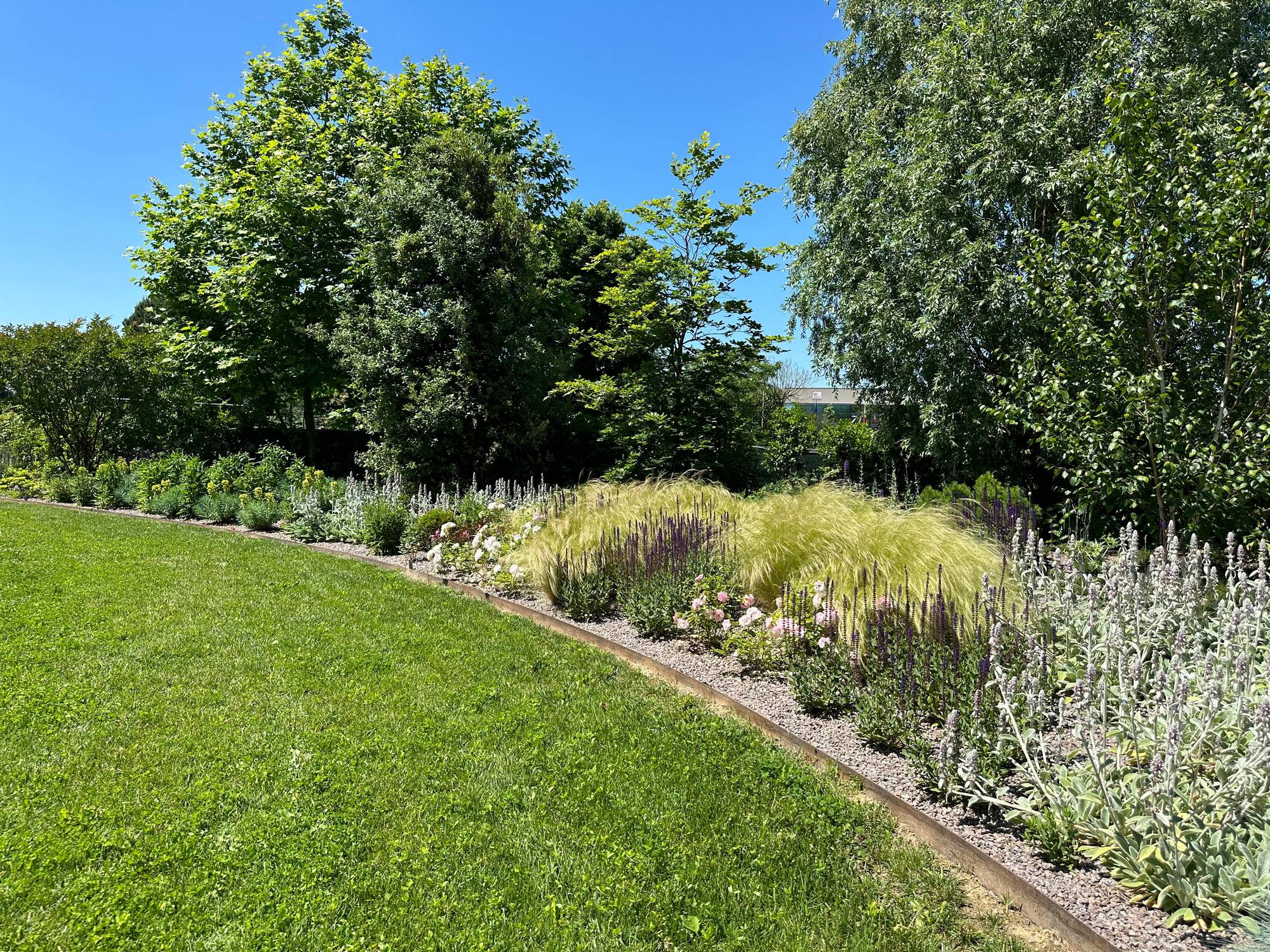 Giardino fiorito