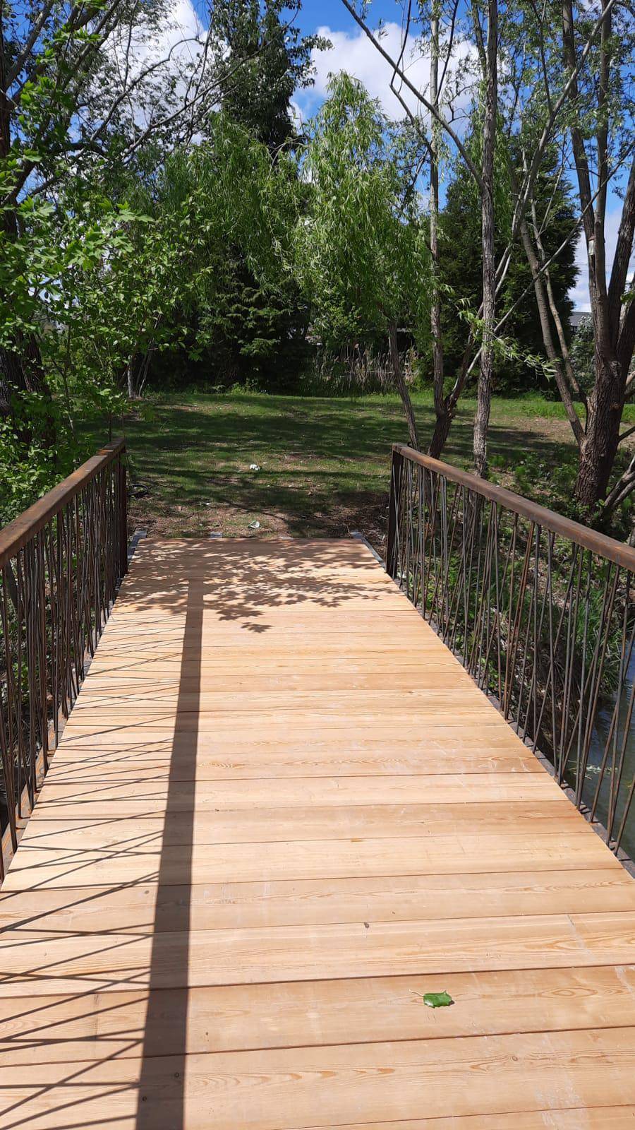 Ponte di legno nella natura