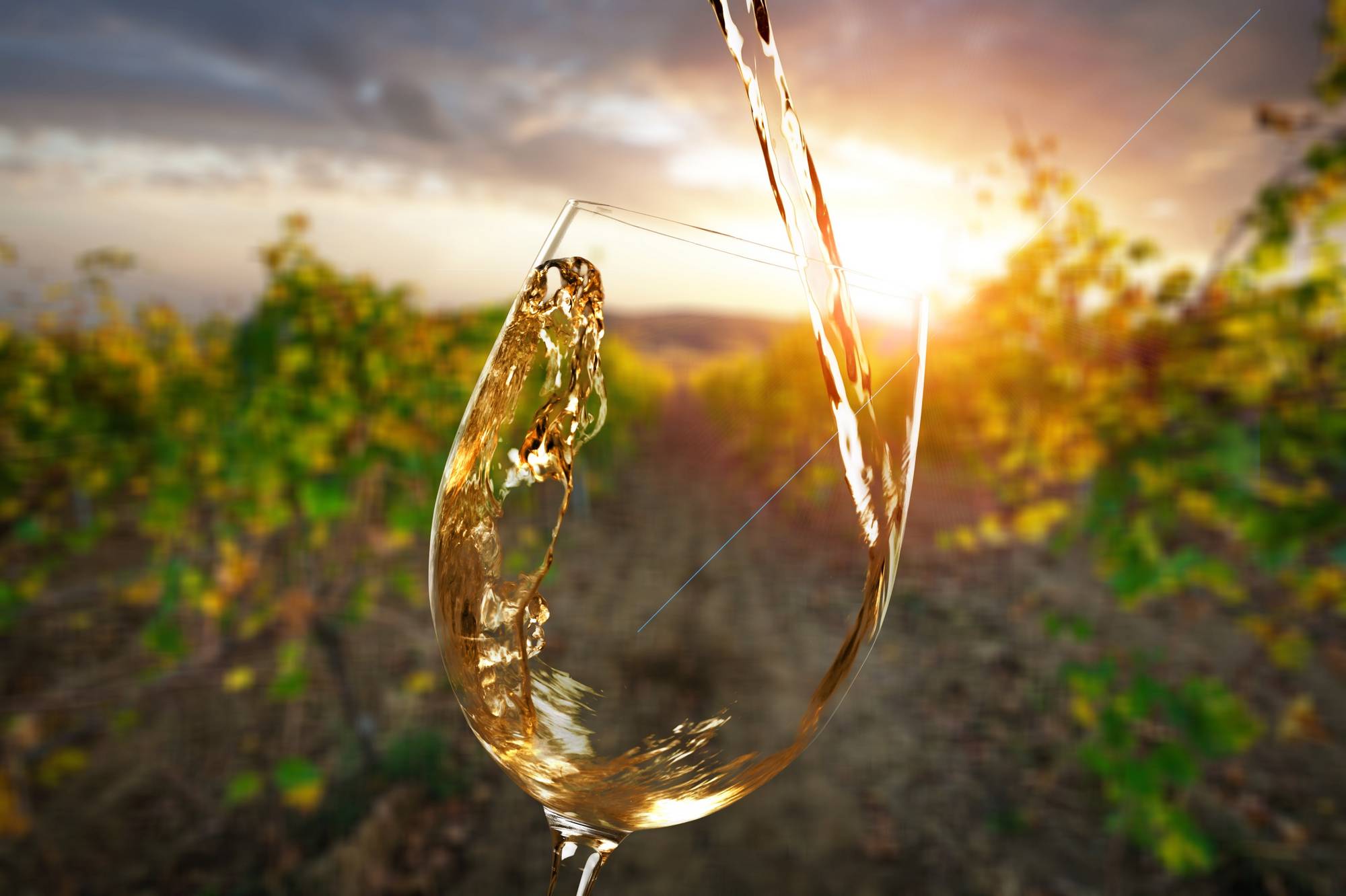 Calice di vino al tramonto