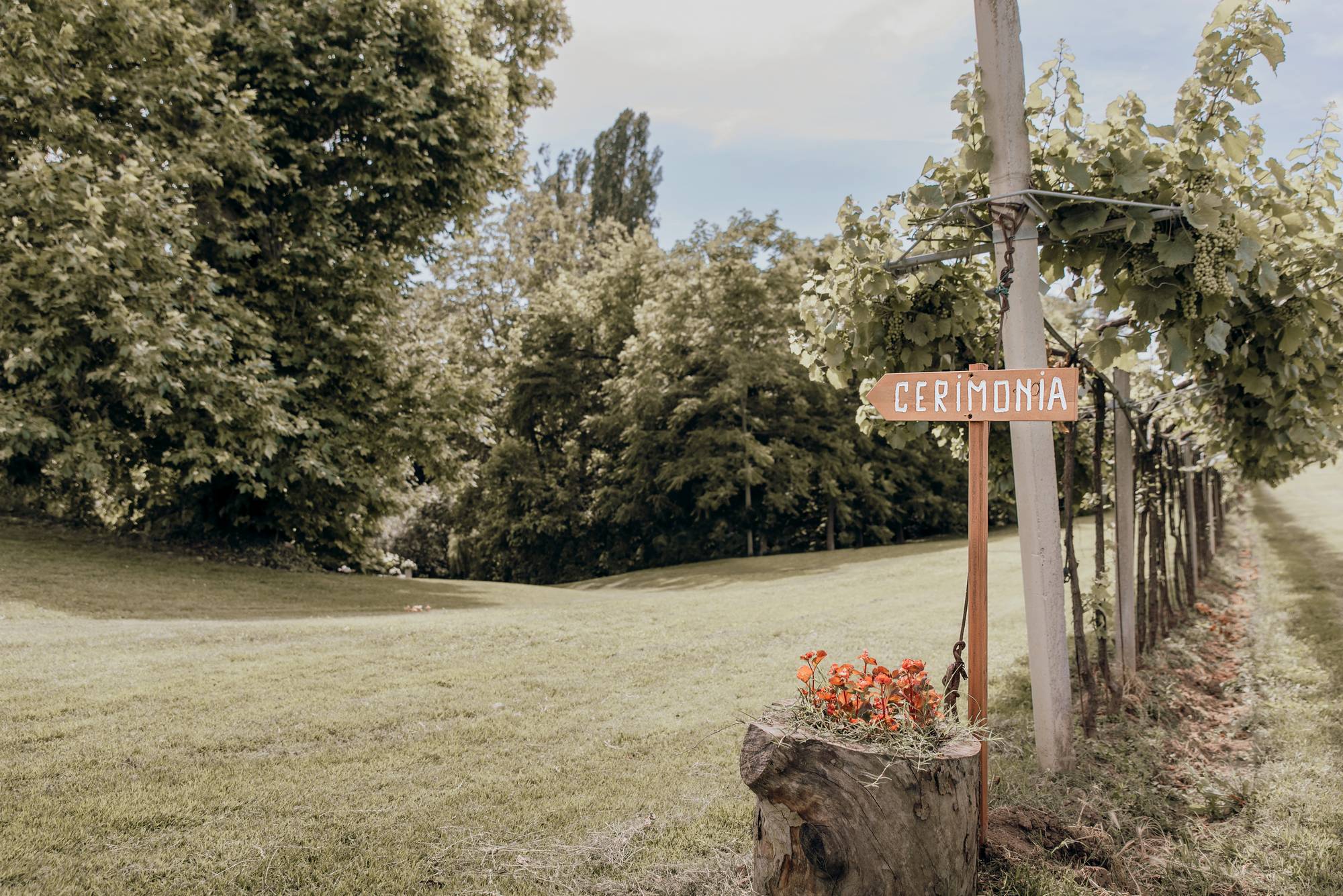 Cartello cerimonia in vigneto